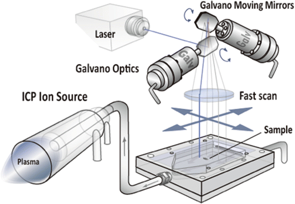 Laser Ablation – Inductively Coupled Plasma Mass Spectrometry | SpringerLink