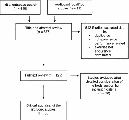 Effects of Compression Garments on Performance and Recovery in Endurance  Athletes