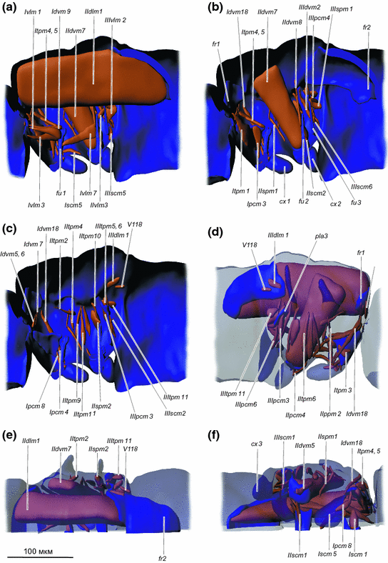 figure 19