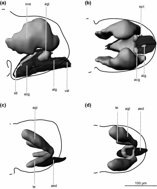 figure 21