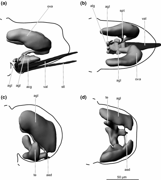 figure 22