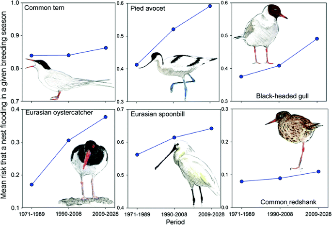 figure 26