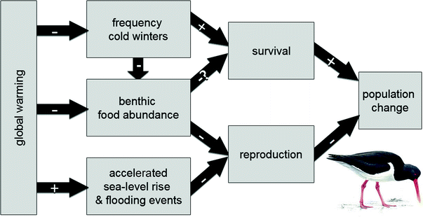 figure 27