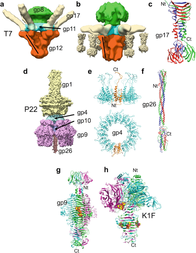 figure 24