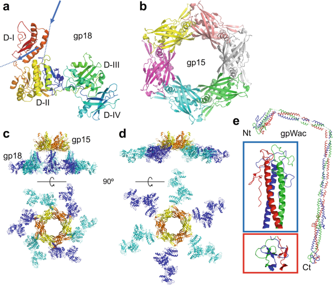 figure 32