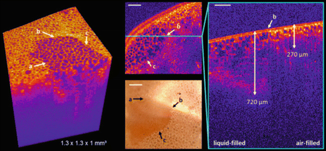 figure 19