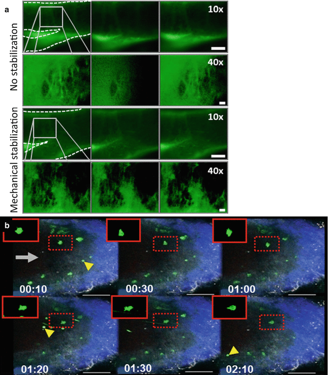 figure 27