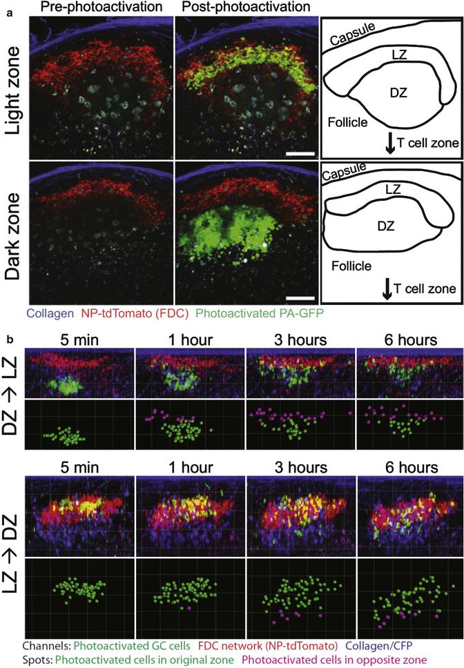 figure 28