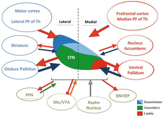 Subthalamic nucleus connectivity in binge drinkers and