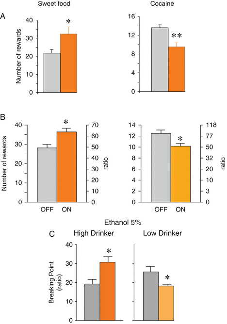 Subthalamic nucleus connectivity in binge drinkers and