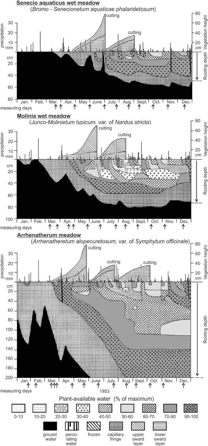 Agricultural Grassland on Mesic to Wet Soils | SpringerLink