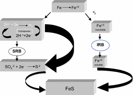 figure 22