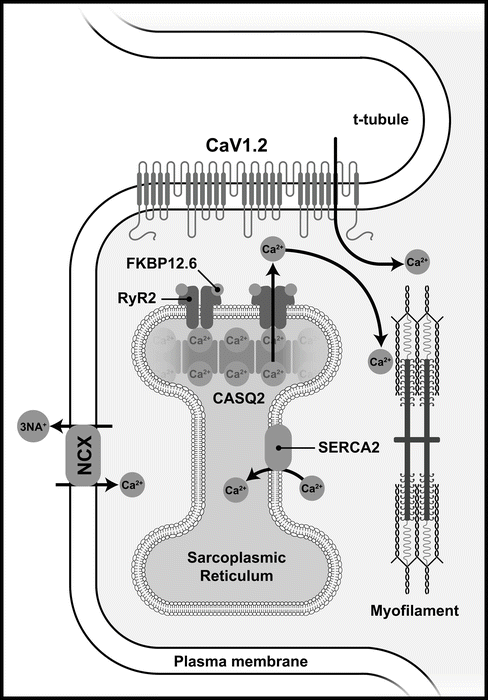 figure 8