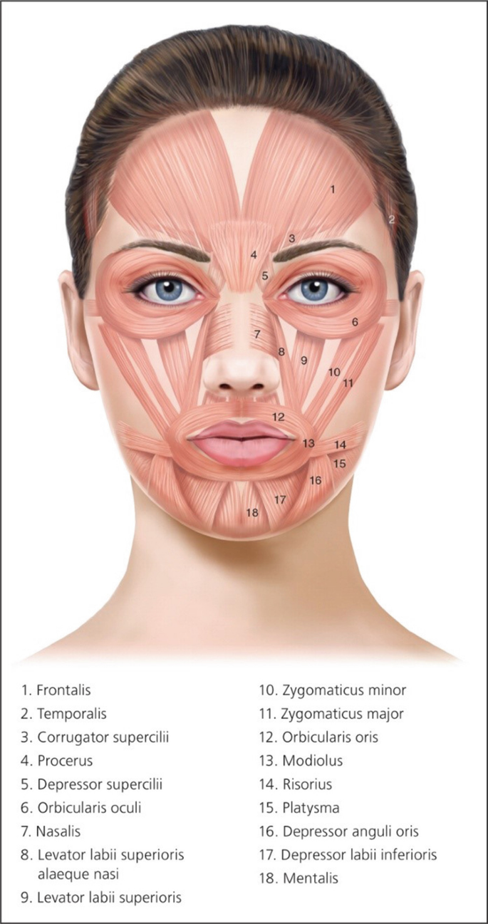 How does jawline filler shape my face? - Dr Scott Allison