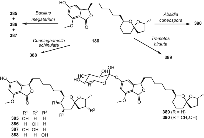 figure 25