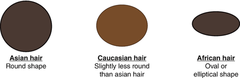 Chemical and Physical Properties of Hair: Comparisons Between Asian, Black, and Caucasian Hair | SpringerLink Chemical and Physical Properties of Hair: Comparisons Between Asian, Black, and Caucasian Hair | SpringerLink