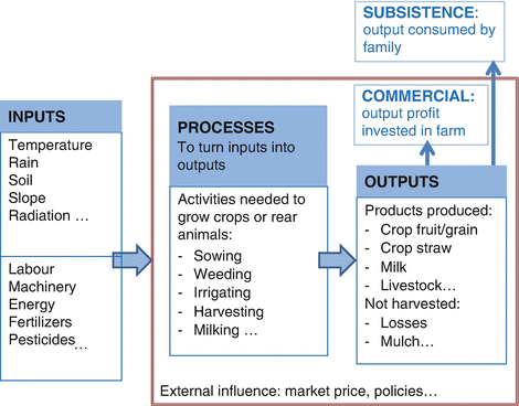 Cropping and Farming Systems | SpringerLink