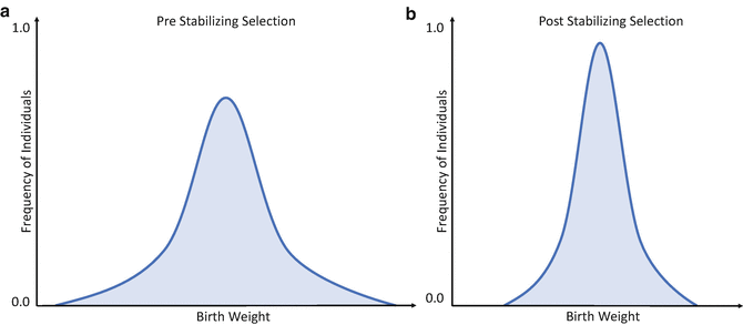 Stabilizing Selection: Definition, Examples, Causes