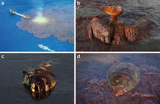 Novel Eco-friendly Mitigation Strategies for Managing Oil Spills