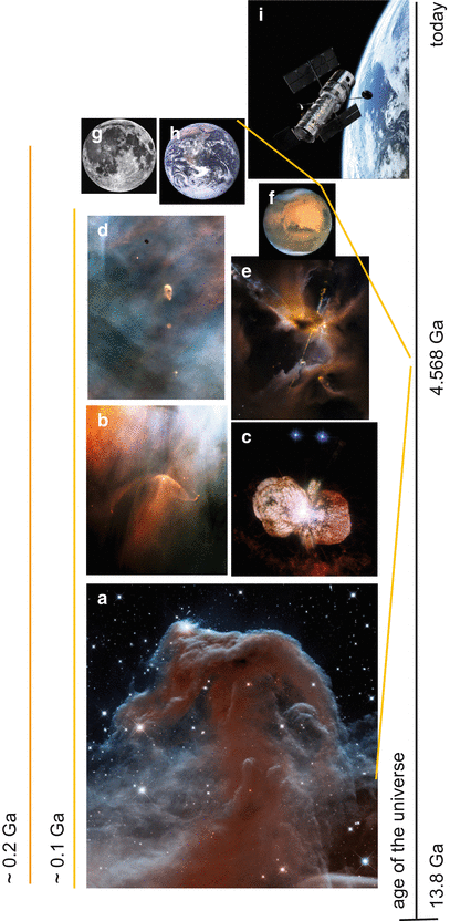 The Extreme Biology of Meteorites: Their Role in ...