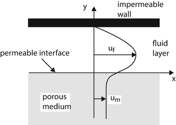 Mechanics of Fluid Flow Through a Porous Medium | SpringerLink