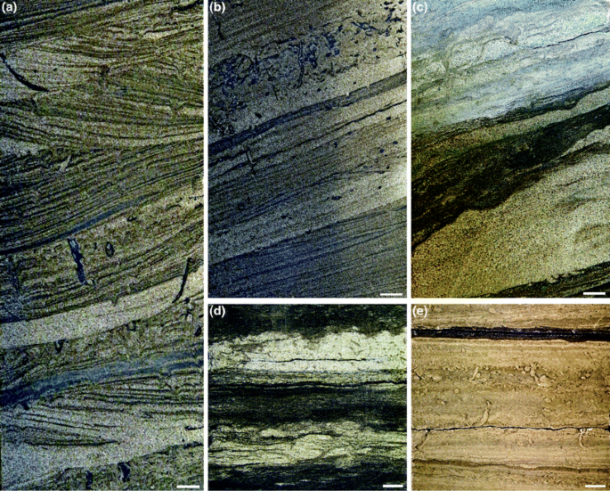 Selected Trace Fossils in Core and Outcrop