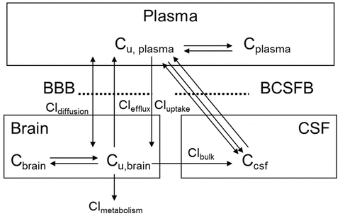 Schematic representation of Riley's threecompartment lung model