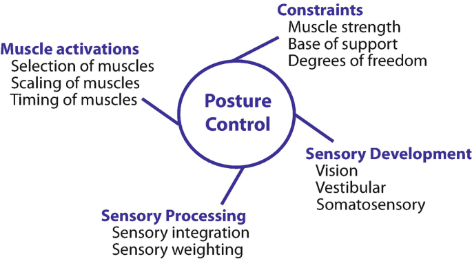Postural Control in Children and Youth with Cerebral Palsy