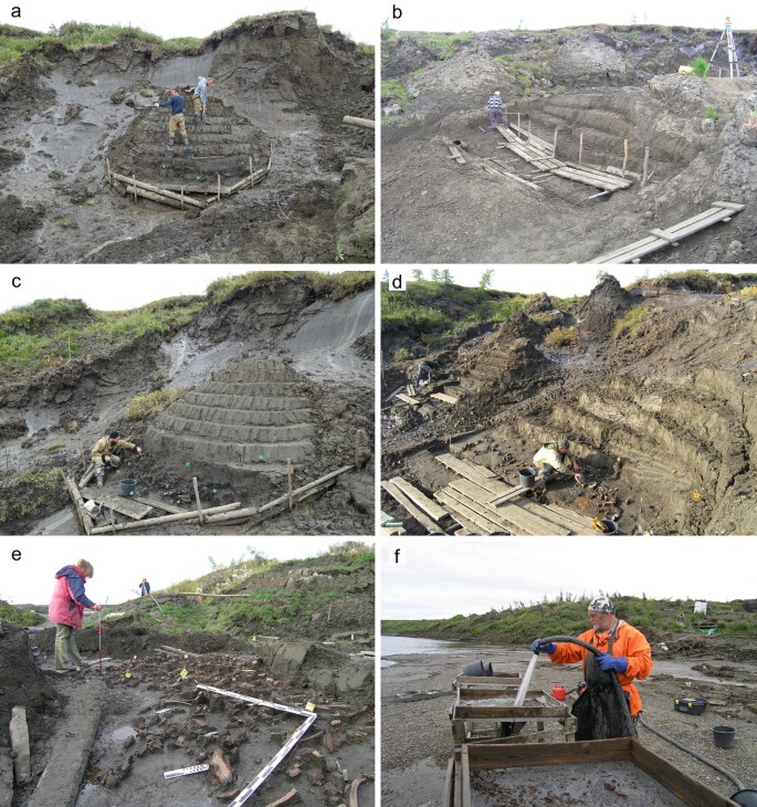 Permafrost Digging | Springer Nature Link