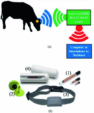 Design and Implementation of a Low Cost RFID ISO 11784/11785 Reader for the  Automatic Livestock Management in Nicaragua | SpringerLink