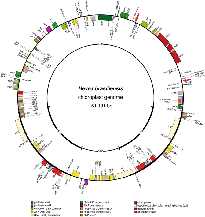 figure 14