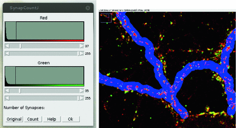 Analysis Synapse-X (1).zip (MD5: A8B54A6E5070F92720DDCDE2E304DE7C