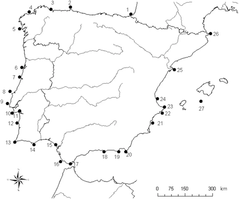 graphic_overview