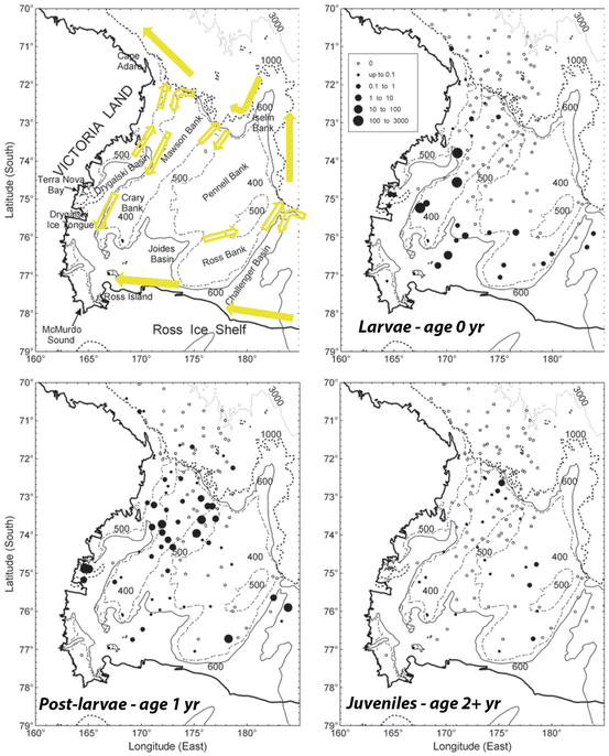 figure 11