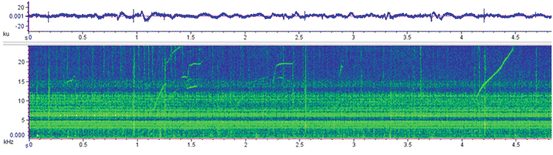 figure 18