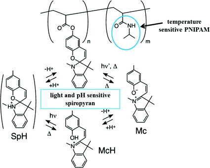 figure 83