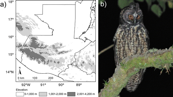 figure 15