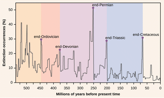 figure 35