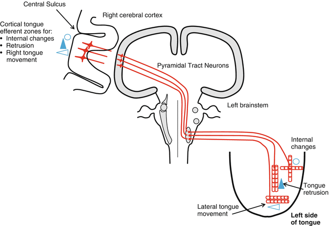 figure 8