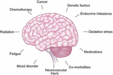 Cognitive Dysfunction, Mood Disorders, and Fatigue as Complications of  Cancer | SpringerLink