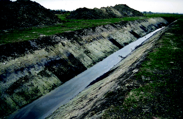 The Coastal Plain of Belgium, Joint Product of Natural Processes and Human Activities | SpringerLink