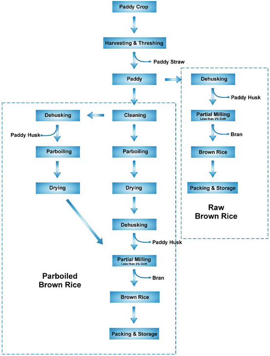 What To Pay Attention to in the Production Process of Rice Mill