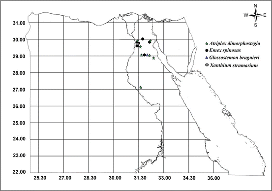 figure 31