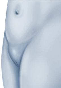 Mons Pubis