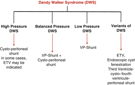 progressief G Kwadrant Dandy-Walker Syndrome: A Challenging Problem | SpringerLink