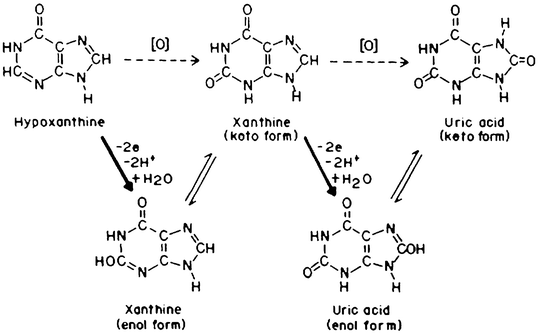 figure 24