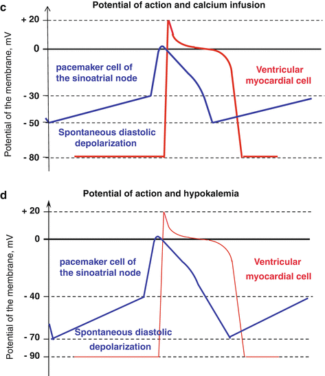 Potassium Disorders | SpringerLink