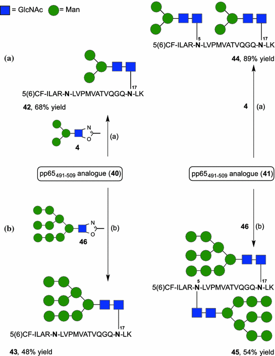 scheme 8