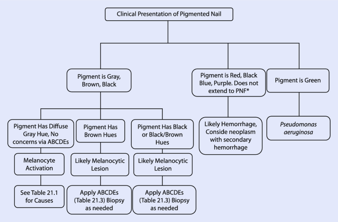Non Melanocytic Pigment Abnormalities | Springer Nature Link Non Melanocytic Pigment Abnormalities | Springer Nature Link