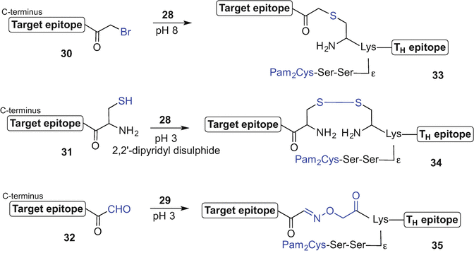 scheme 4